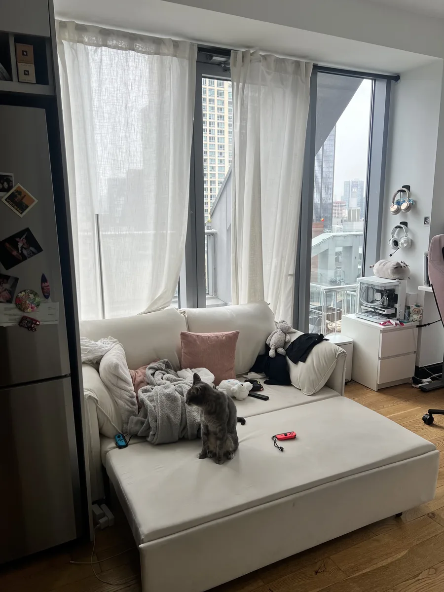 A small city apartment with a sofa bed, and a cat on it