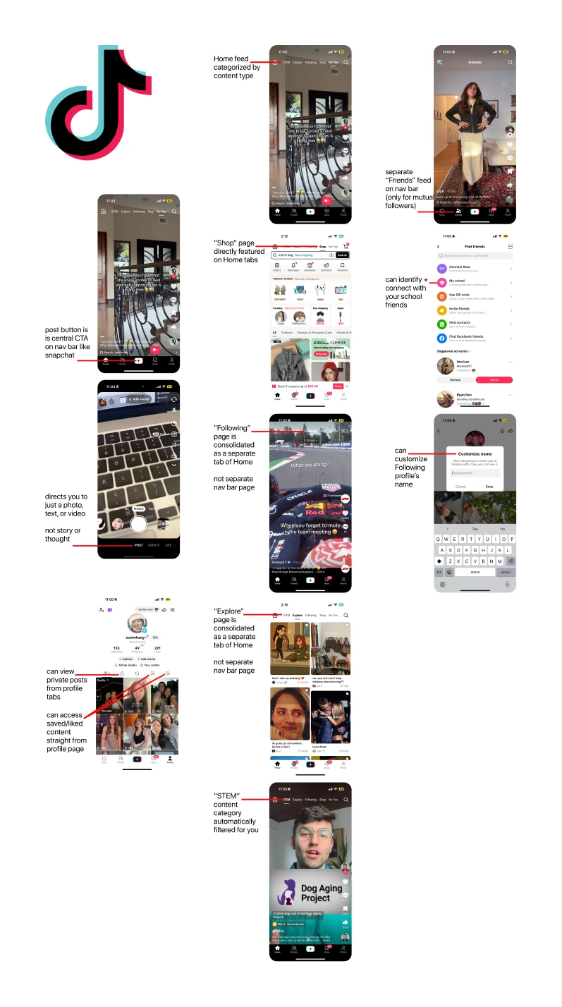 Annotated audit of TikTok